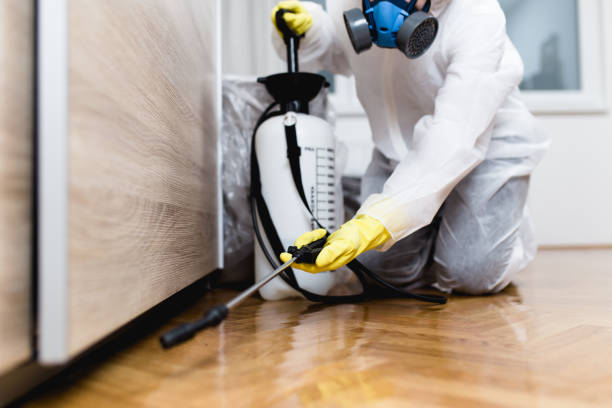 Best Pest Inspection Near Me  in Union, KY