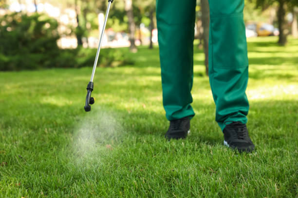 Best Mosquito Control Services  in Union, KY