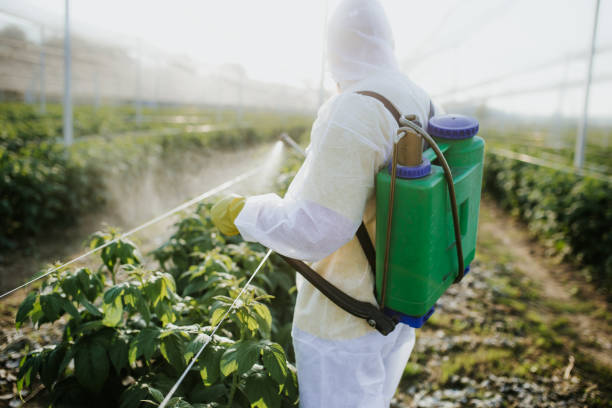 Best Residential Pest Control  in Union, KY